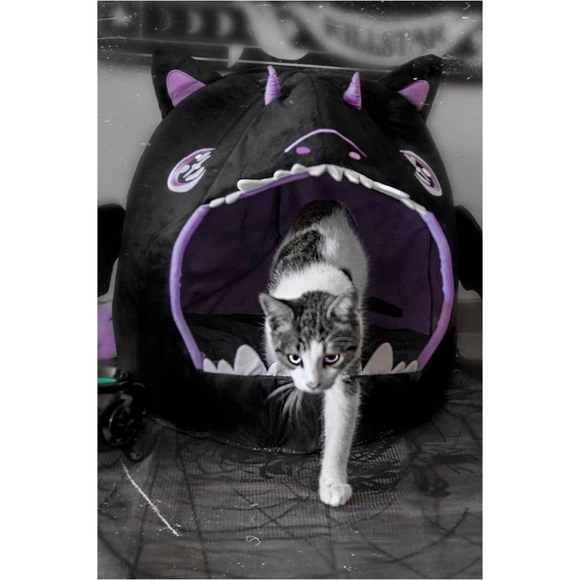 RARE Killstar Dragon Baby Pet Bed - Picture 3 of 4